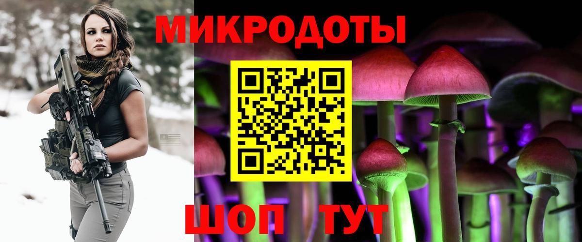 Галлюциногенные грибы прущие грибы Верхняя Пышма