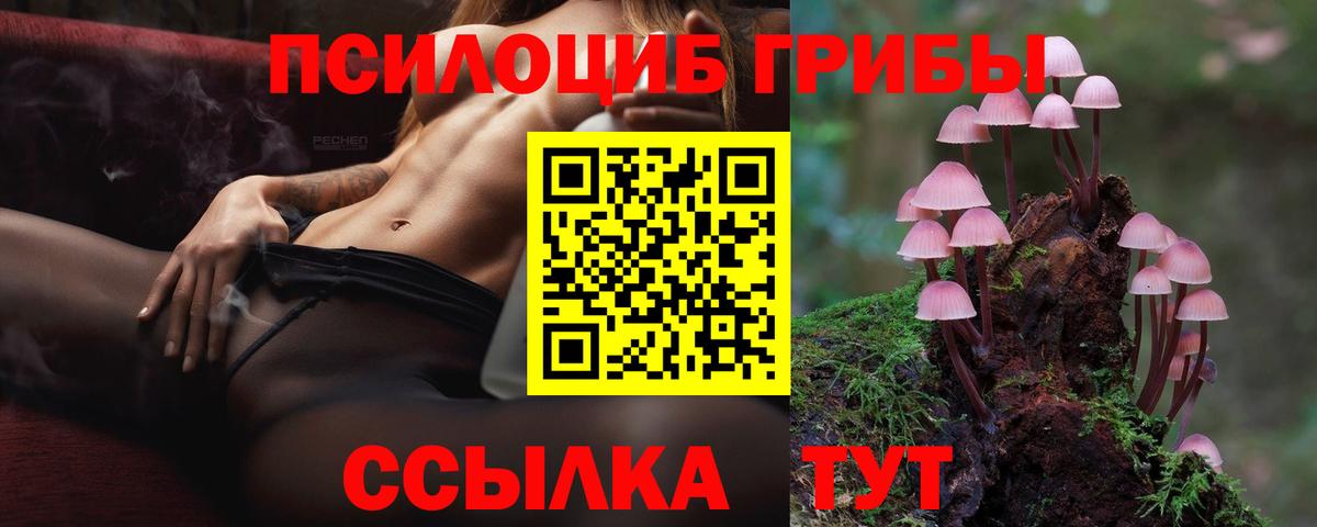 Псилоцибиновые грибы прущие грибы  как найти закладки  Верхняя Пышма  Вход с VPN 